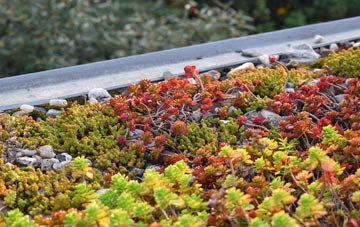 the cost of Birch Cross green roof installation