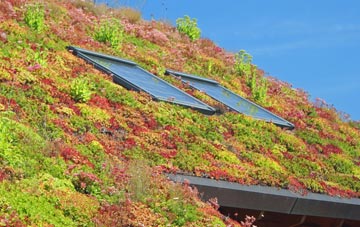 Birch Cross living roof systems