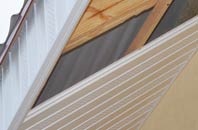 rated Birch Cross soffit repair companies